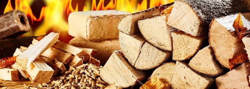 Biomasa: una fuente de energía renovable y sostenible